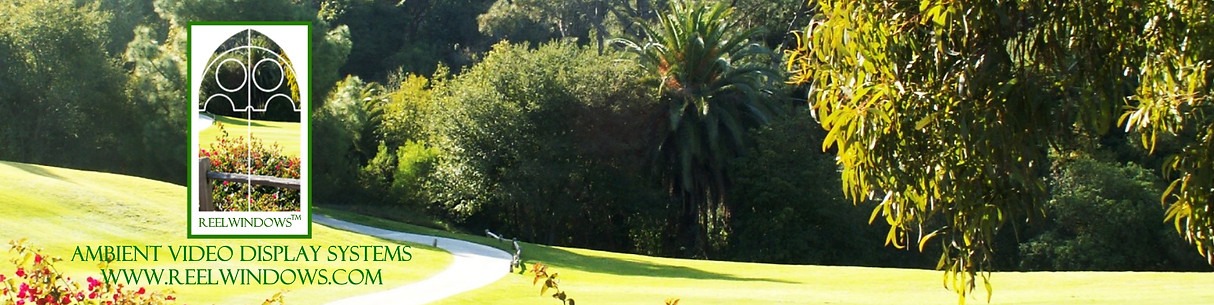 REELWINDOWS™