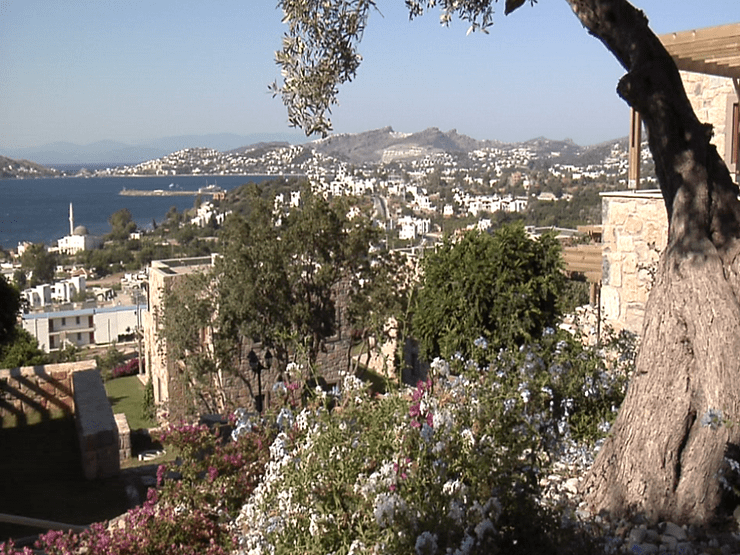A Scenic View of the Sea and Buildings From a Hillside, Showcasing the Landscape and Coastal Architecture.